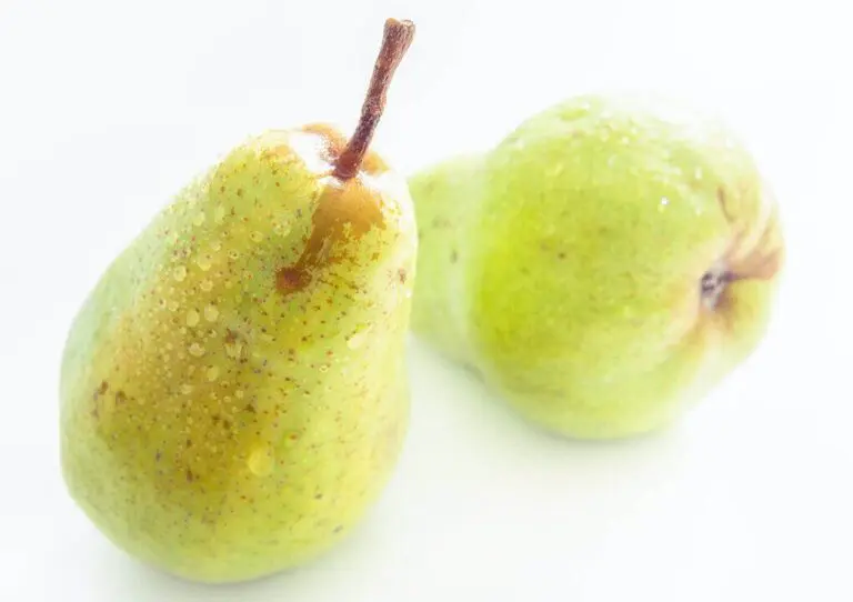 dagverse peren